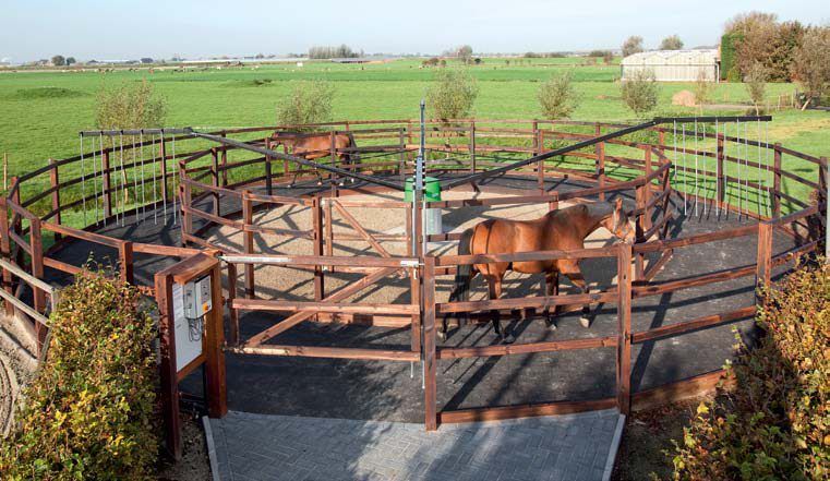 Horse exercisers